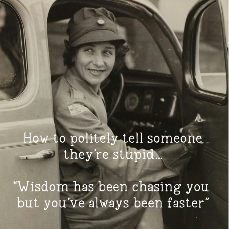 How to politely tell someone they're stupid... wisdom has been chasing you but you've always been faster magnet