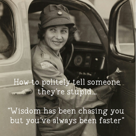 How to politely tell someone they're stupid... wisdom has been chasing you but you've always been faster magnet