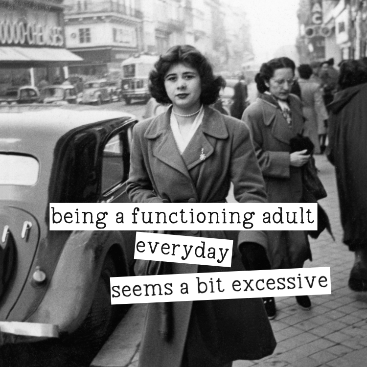 Being a functioning adult magnet